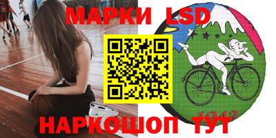 стафф Новозыбков