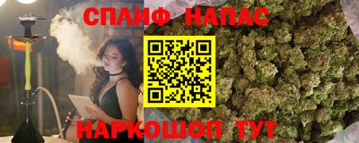 прущие крисы Новокубанск