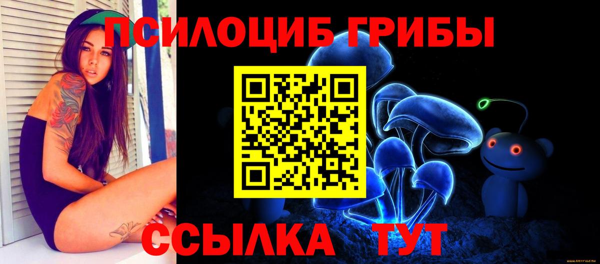 Псилоцибиновые грибы MAGIC MUSHROOMS Строитель